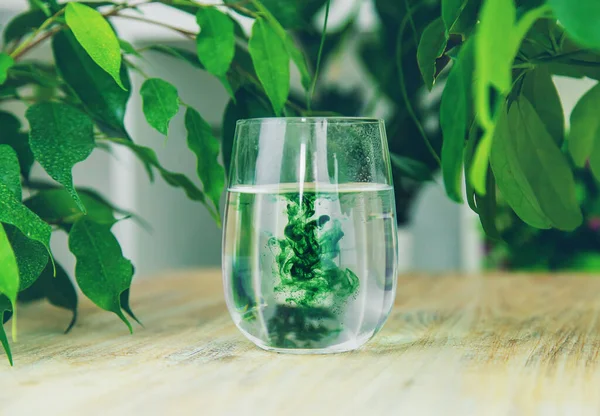Хлорофільна Добавка Склянці Води Вибірковий Фокус Природа — стокове фото