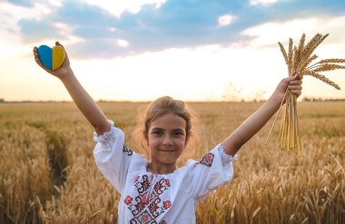 Buğday tarlasında bir çocuk. Vyshyvanka 'da, Ukrayna' nın Bağımsızlık Günü kavramı. Seçici odaklanma. Çocuk.