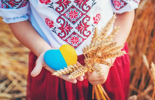 Criança Num Campo Trigo Vyshyvanka Conceito Dia Independência Ucrânia Foco — Fotografia de Stock