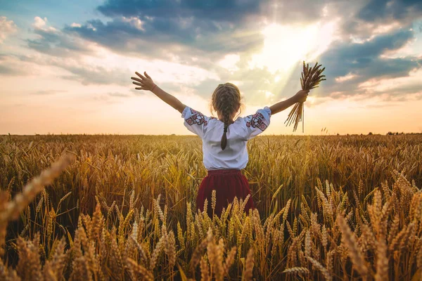 Niño Campo Trigo Vyshyvanka Concepto Del Día Independencia Ucrania Enfoque — Foto de Stock