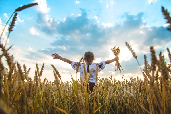 Child Wheat Field Vyshyvanka Concept Independence Day Ukraine Selective Focus — Stock Photo, Image