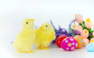 Beyaz arka planda güzel bir Paskalya dekoru. Seçici odaklanma. tatil.