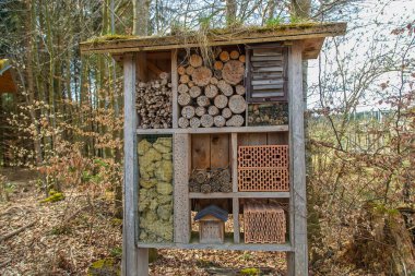 Kışlık böceklerin evi. Seçici odaklanma. Doğa.