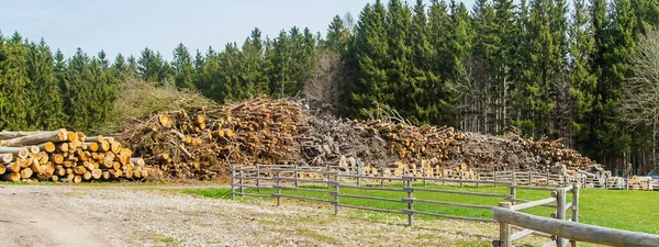 Preparing Firewood Winter Selective Focus Nature — Stok fotoğraf