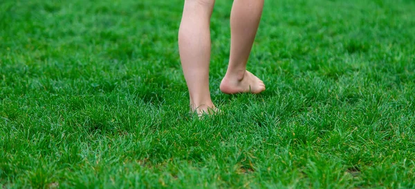 Дитячі Ноги Йдуть Траву Вибірковий Фокус Люди — стокове фото