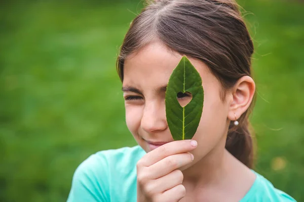 Les Enfants Prennent Soin Arbre Nature Dans Leurs Mains Concentration — Photo