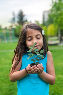 Çocuk bitkiyi ve toprağı elinde tutuyor. Seçici odaklanma. Çocuk.