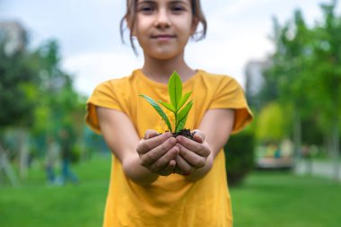 Çocuk bitkiyi ve toprağı elinde tutuyor. Seçici odaklanma. Çocuk.