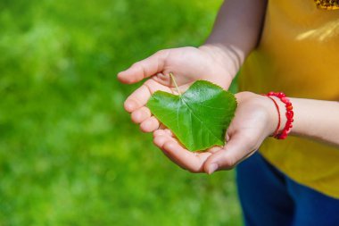 Çocuk elinde bir ağaç tutuyordu. Seçici odaklanma. Doğa.