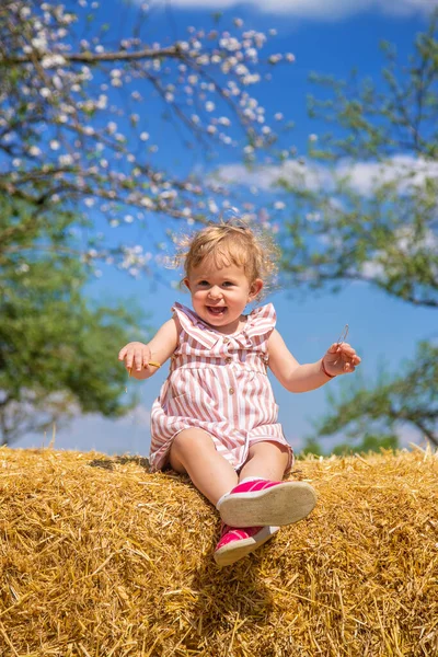 Child Sitting Pile Hay Selective Focus Nature — Stock Photo, Image