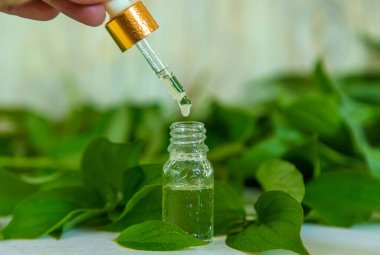 Bitki ve bitkilerin temel yağları. Seçici odaklanma. Doğa.