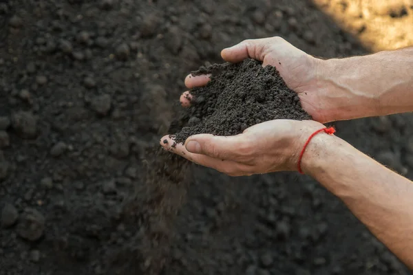 The soil is in the hands of a man. Selective focus. People.
