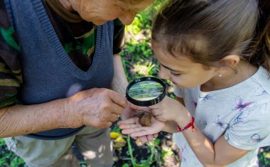 Çocuk ağaçtaki salyangozları inceliyor. Seçici odaklanma. Doğa.