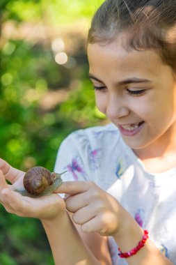 Çocuk ağaçtaki salyangozları inceliyor. Seçici odaklanma. Doğa.