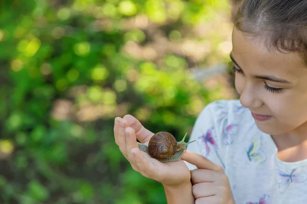 아이는 나무에 달팽이를 조사한다 선택적 집중입니다 — 스톡 사진