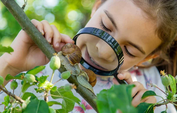 아이는 나무에 달팽이를 조사한다 선택적 집중입니다 — 스톡 사진