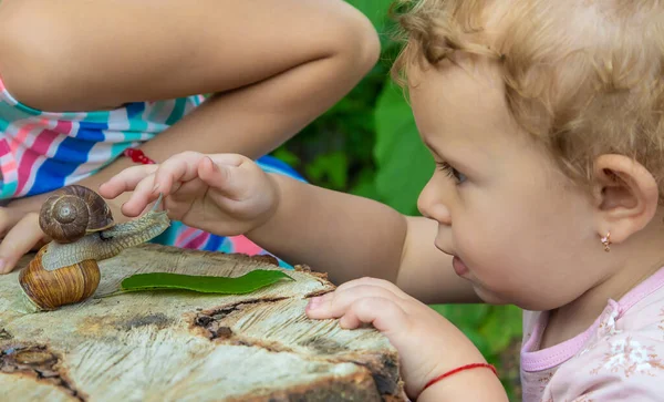 Niño Examina Los Caracoles Del Árbol Enfoque Selectivo Niño — Foto de Stock