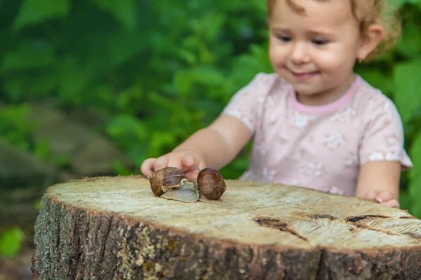 Criança Examina Caracóis Árvore Foco Seletivo Miúdo — Fotografia de Stock