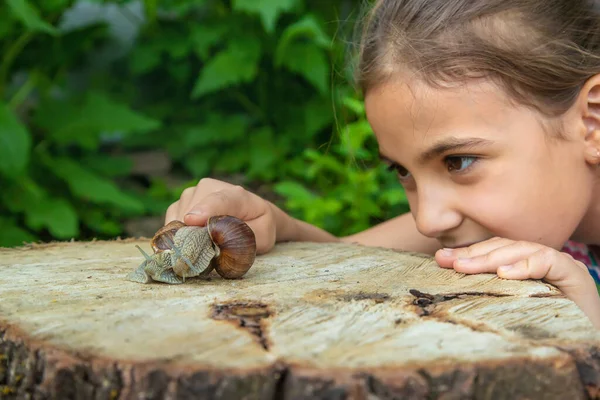 아이는 나무에 달팽이를 조사한다 선택적 집중입니다 어린이 — 스톡 사진