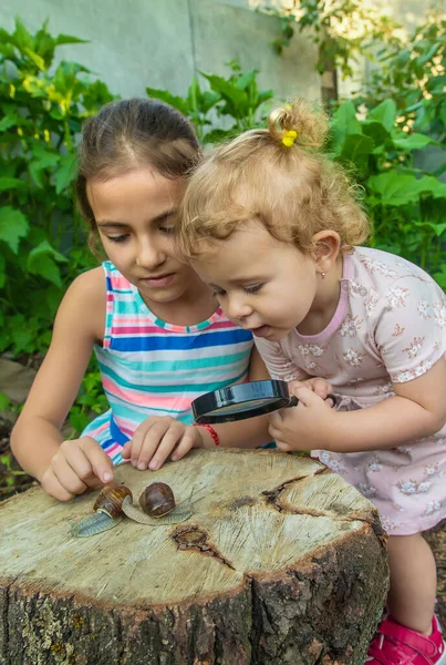 子供は木の上のカタツムリを調べる 選択的フォーカス キッド — ストック写真