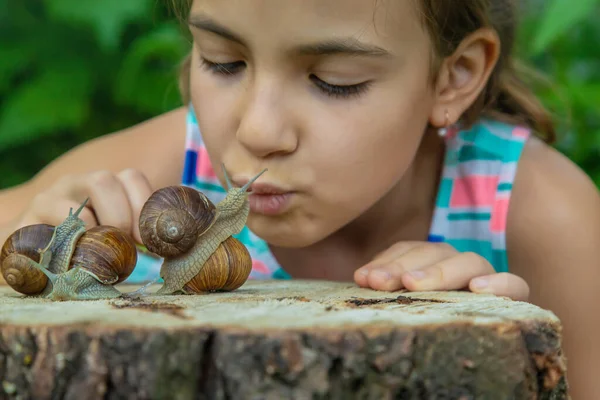 Child Examines Snails Tree Selective Focus Kid — Stock Photo, Image