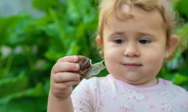 Niño Examina Los Caracoles Del Árbol Enfoque Selectivo Niño — Foto de Stock