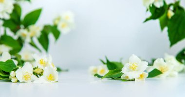 Yasemin çiçekleri olan güzel bir arka plan. Konuya uygun bir yer. Seçici odaklanma. Spa.