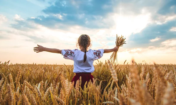 Niño Campo Trigo Vyshyvanka Concepto Del Día Independencia Ucrania Enfoque — Foto de Stock