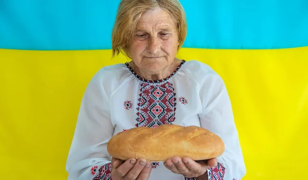 祖母是一位穿着绣花衬衫的乌克兰爱国者 有选择的重点 — 图库照片