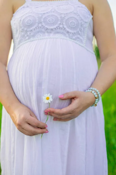 Mujer Embarazada Con Una Manzanilla Las Manos Enfoque Selectivo Naturaleza — Foto de Stock