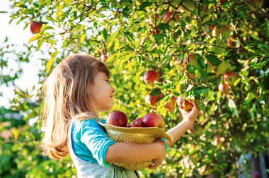 Çocuk çocuk bir elma ile. Seçici odak. Bahçe gıda