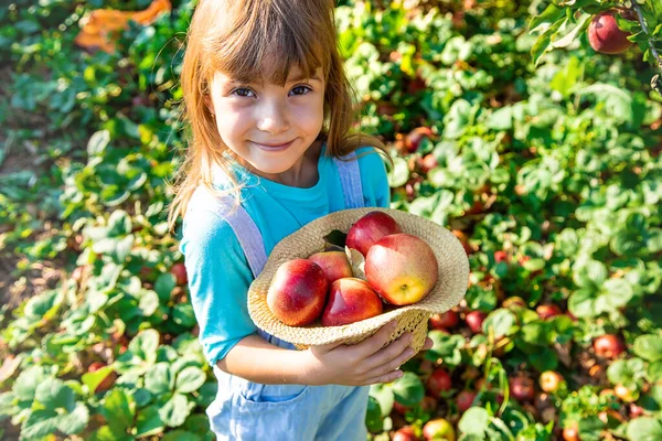 リンゴを持った子供を持つ子供 選択と集中 庭料理 — ストック写真