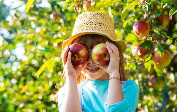 孩子带着一个苹果 选择性对焦 花园食品 — 图库照片