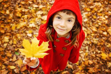 Çocuk sonbahar ile kırmızı paltolu bırakır. Sonbahar seviyorum. Seçici odak. Doğa.