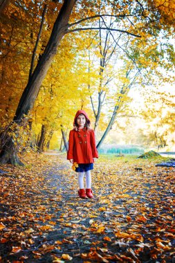 Çocuk sonbahar ile kırmızı paltolu bırakır. Sonbahar seviyorum. Seçici odak. Doğa.