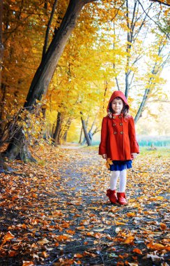 Çocuk sonbahar ile kırmızı paltolu bırakır. Sonbahar seviyorum. Seçici odak. Doğa.