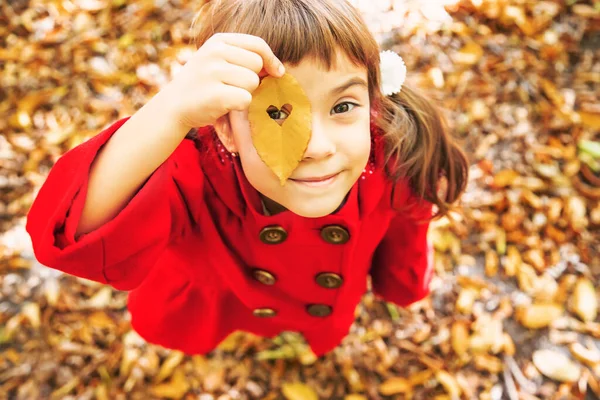 Niño Con Abrigo Rojo Con Hojas Otoño Amor Otoño Enfoque —  Fotos de Stock