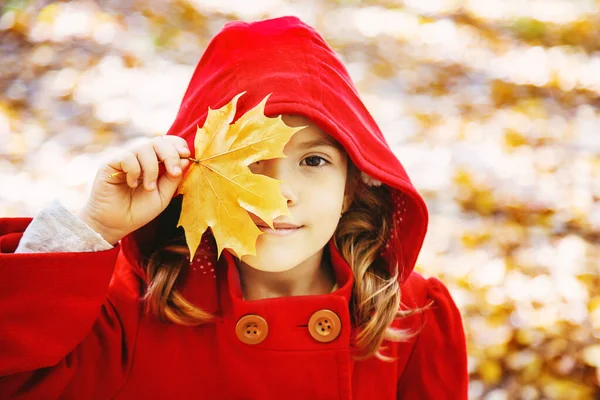 Дитина Червоному Пальто Осіннім Листям Любов Осінь Вибірковий Фокус Природа — стокове фото