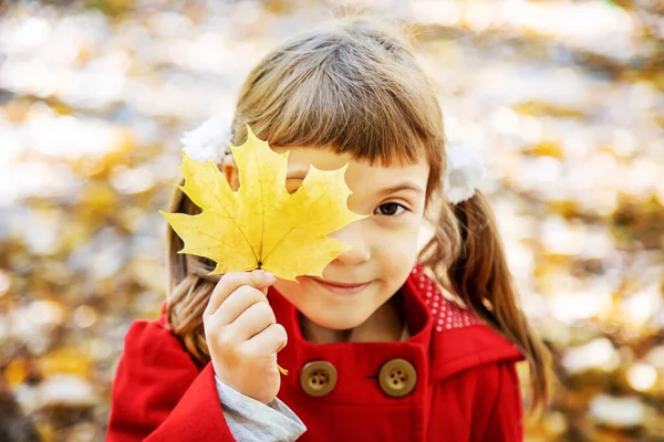 Çocuk sonbahar ile kırmızı paltolu bırakır. Sonbahar seviyorum. Seçici odak. Doğa.