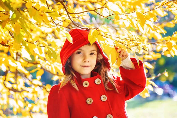 Anak Bermantel Merah Dengan Daun Musim Gugur Cinta Musim Gugur — Stok Foto