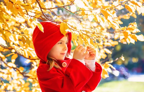 Kind Rotem Mantel Mit Herbstblättern Liebe Herbst Selektiver Fokus Natur — Stockfoto