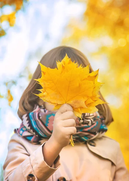 나뭇잎과 공원의 아이들 선택적 집중입니다 — 스톡 사진