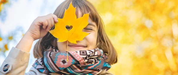 나뭇잎과 공원의 아이들 선택적 — 스톡 사진