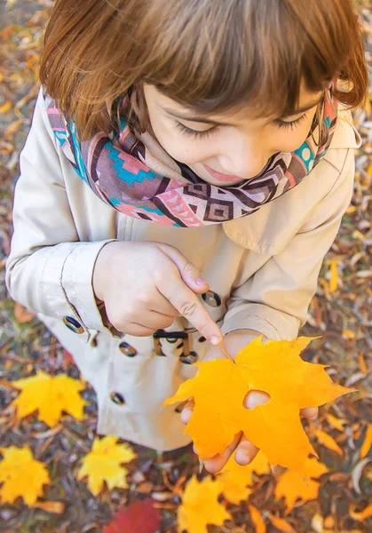 나뭇잎과 공원의 아이들 선택적 — 스톡 사진