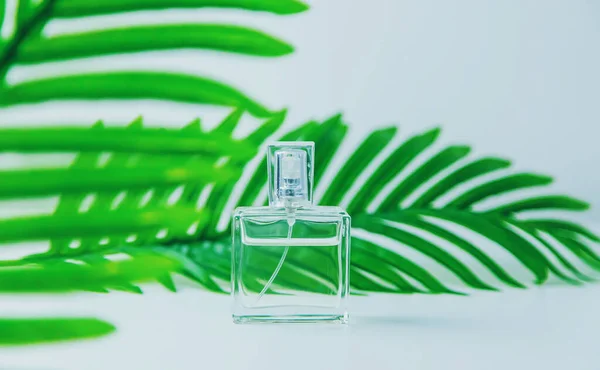 Parfém Kosmetika Zelenými Listy Selektivní Soustředění Příroda — Stock fotografie