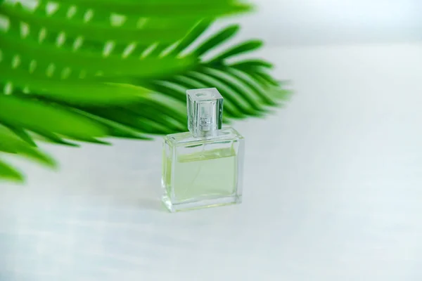 Parfém Kosmetika Zelenými Listy Selektivní Soustředění Příroda — Stock fotografie