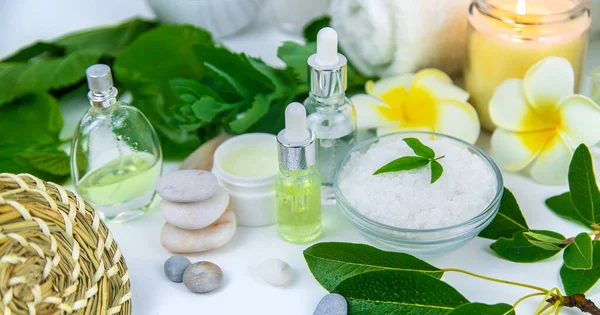 Background Spa Cosmetics Oils Herbs Selective Focus Nature — Stock Photo, Image