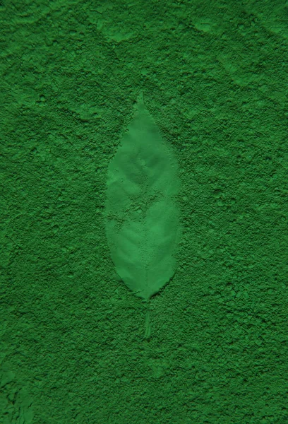 Leaves imprint on green powder. Natural cosmetic. Selective focus. Nature.