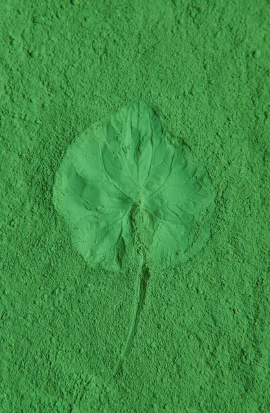 Leaves imprint on green powder. Natural cosmetic. Selective focus. Nature.