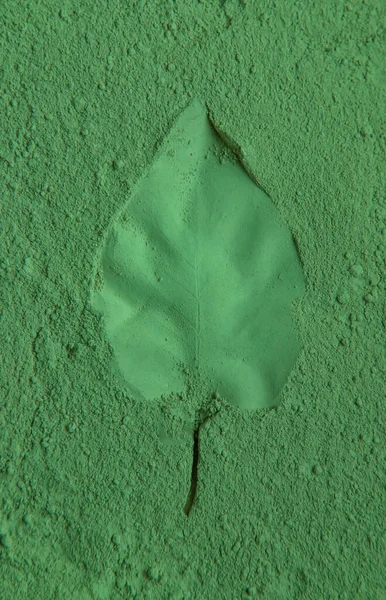 Leaves imprint on green powder. Natural cosmetic. Selective focus. Nature.